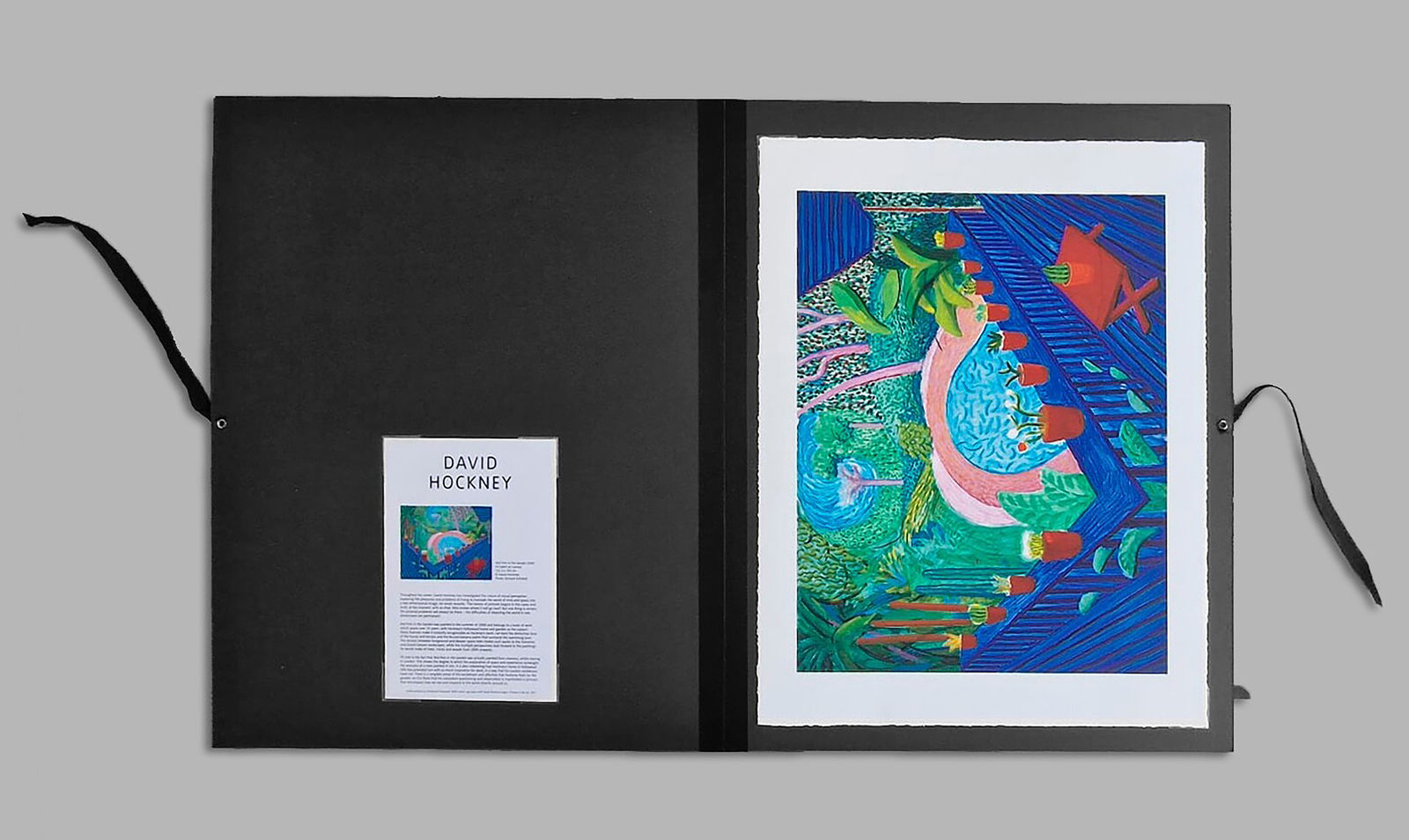 David Hockney, Red Pots In The Garden (Tate Folio)