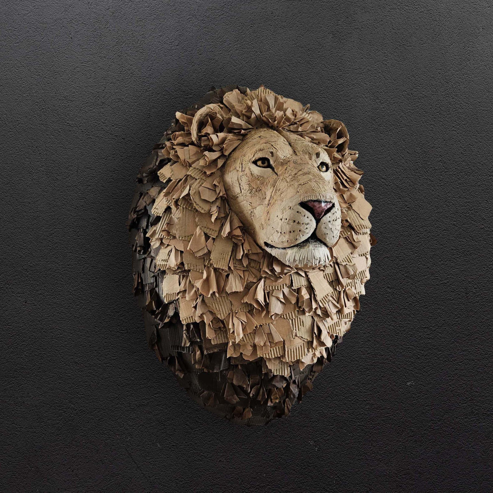 Josh Gluckstein, Lion