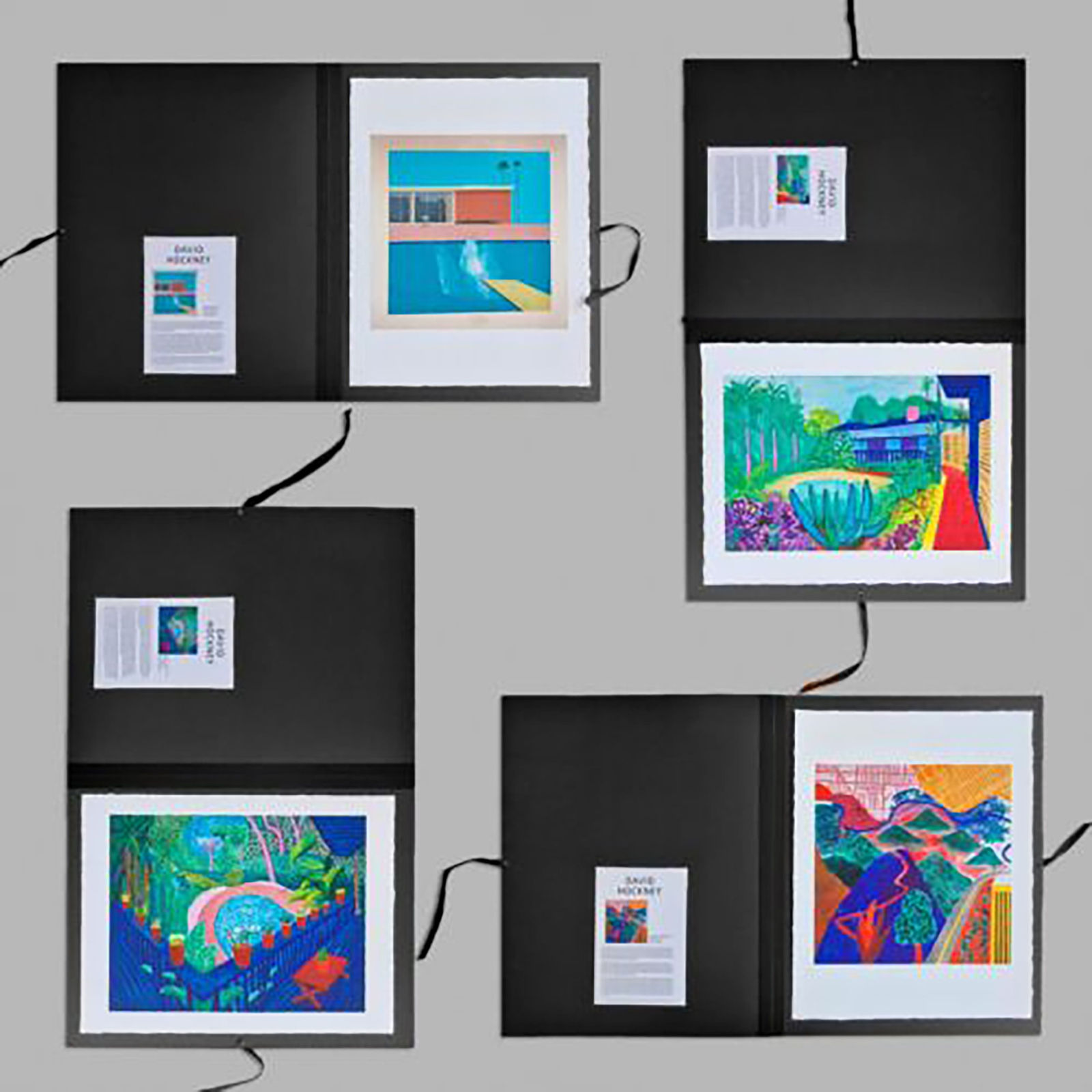 David Hockney, Garden (Tate Folio)