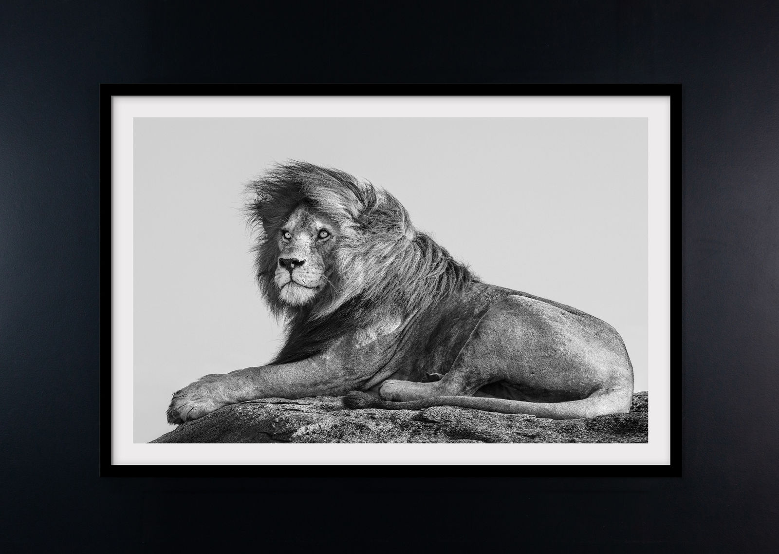 James Lewin, King Of The East, Tanzania