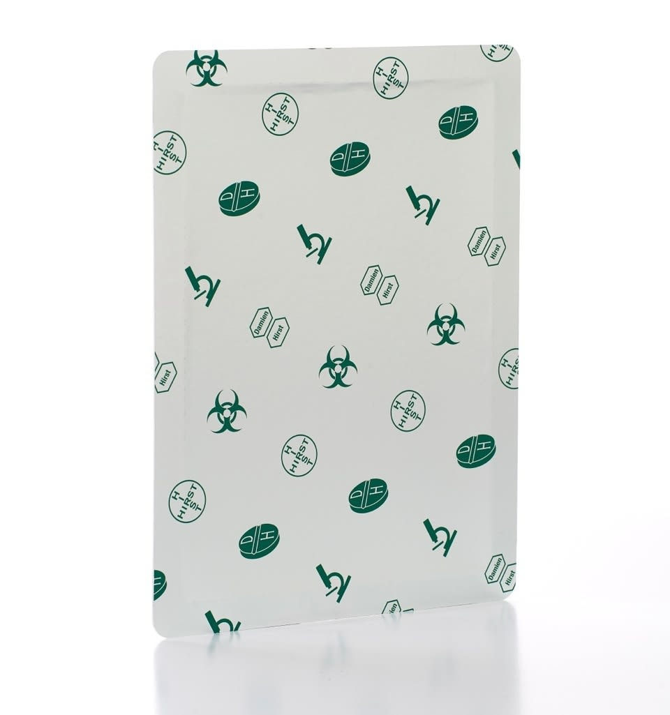 Damien Hirst, Schizophrenogenesis Display Book