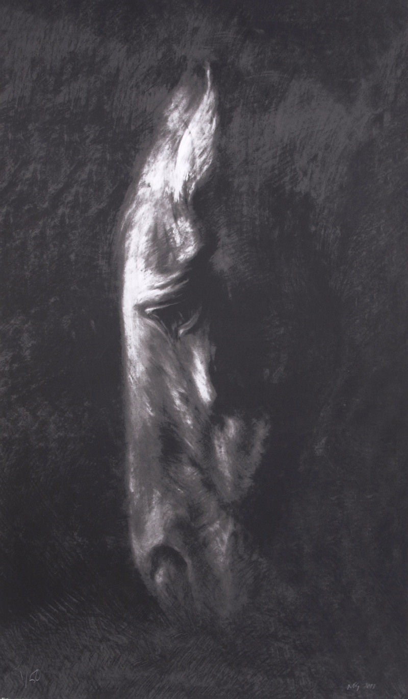 Nic Fiddian-Green, Horse At Water