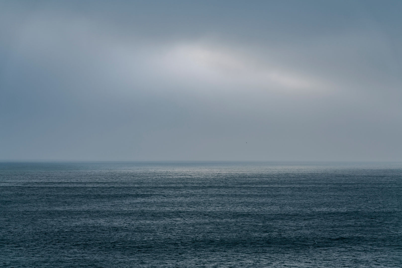 Alexander Sutton, In Flight