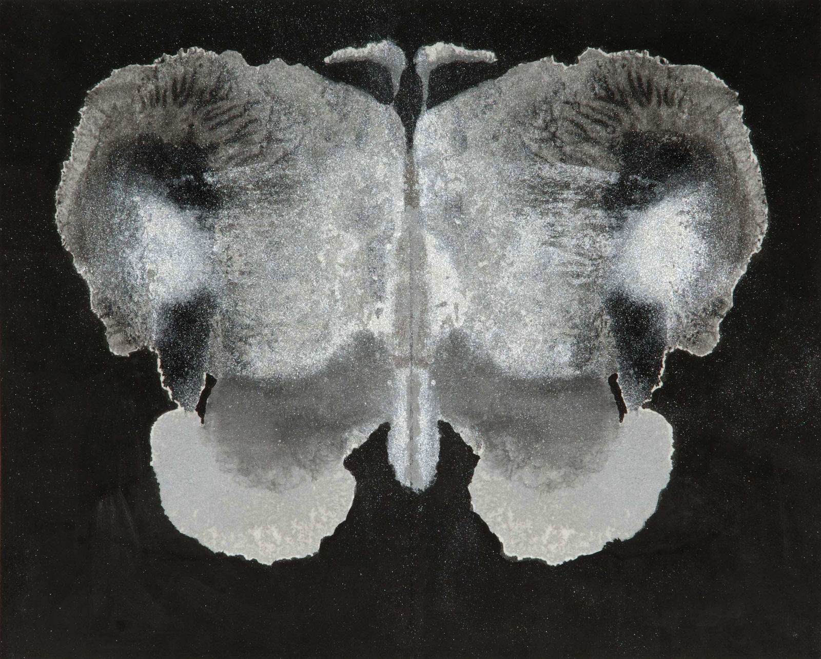 Michelle Stuart, American Snout, 2007