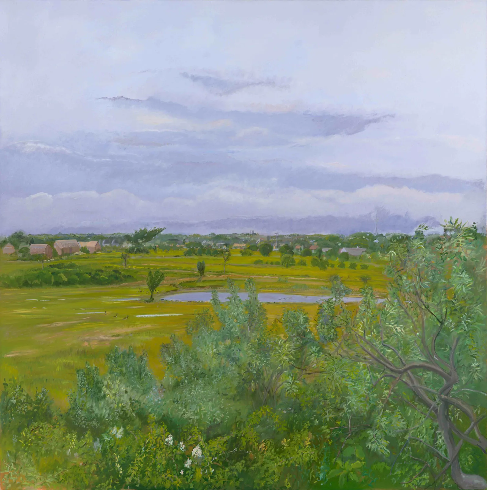 Jane Freilicher, Thicket and Field, 1984