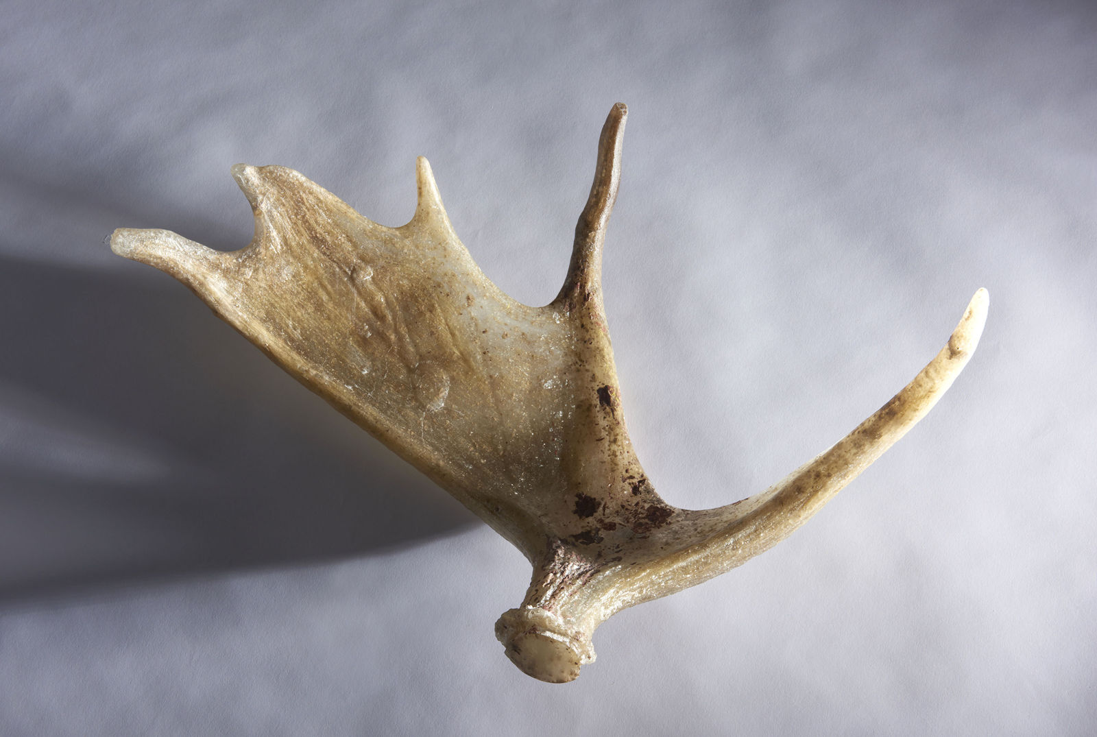 Shaun Fraser, Ach An Cuan: The Atlantic Series (Part 1), 2014