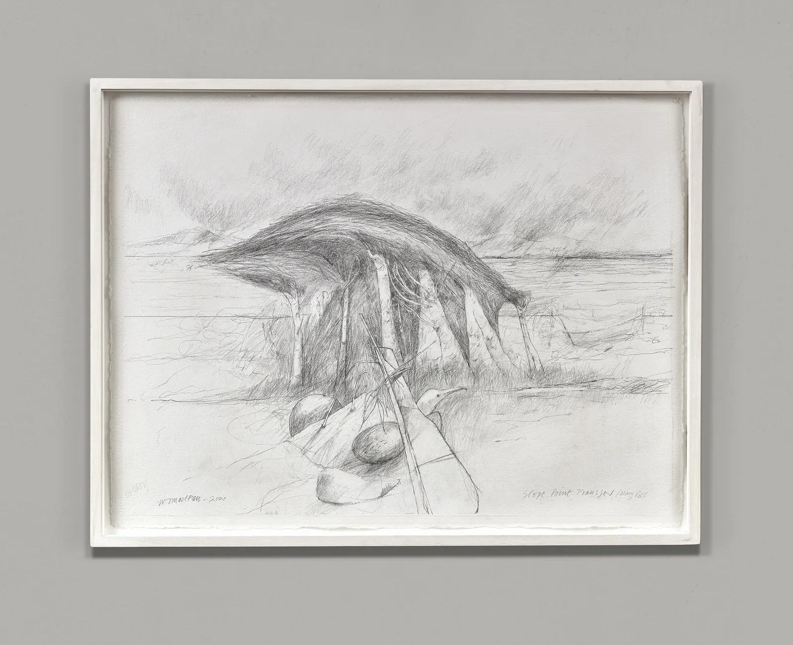 Will Maclean RSA, Slope Point Transfer / Mary Ross, 2020