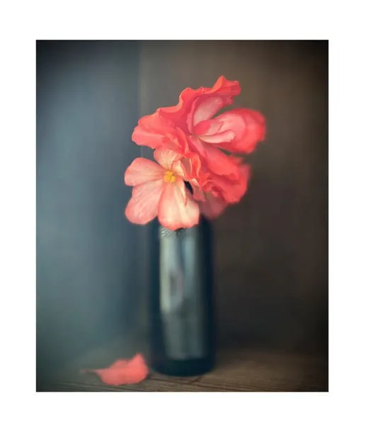 David Eustace, Volume 1 Image No11, 2020-2022