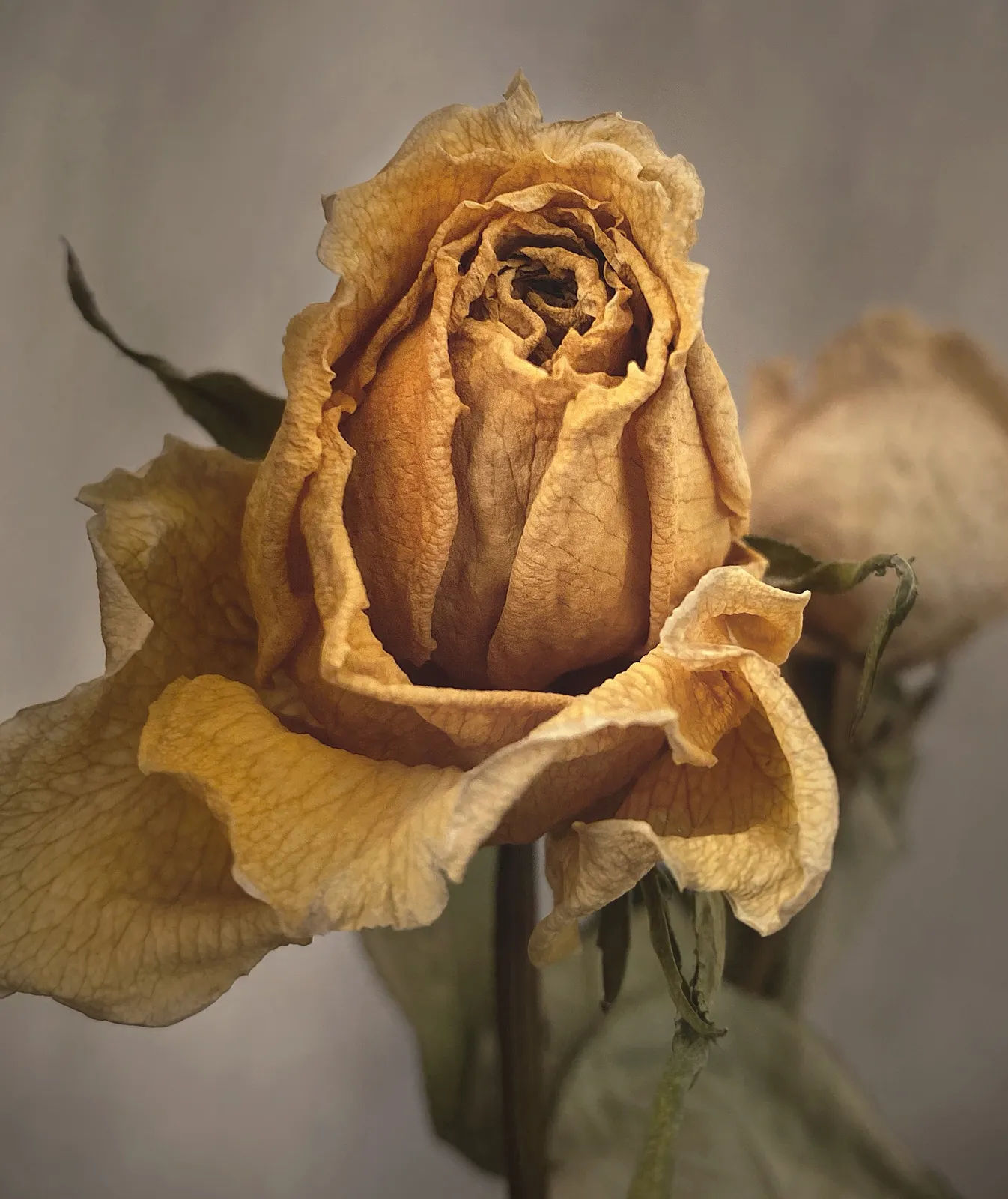 David Eustace, Volume 2 Image No19, 2020-2022