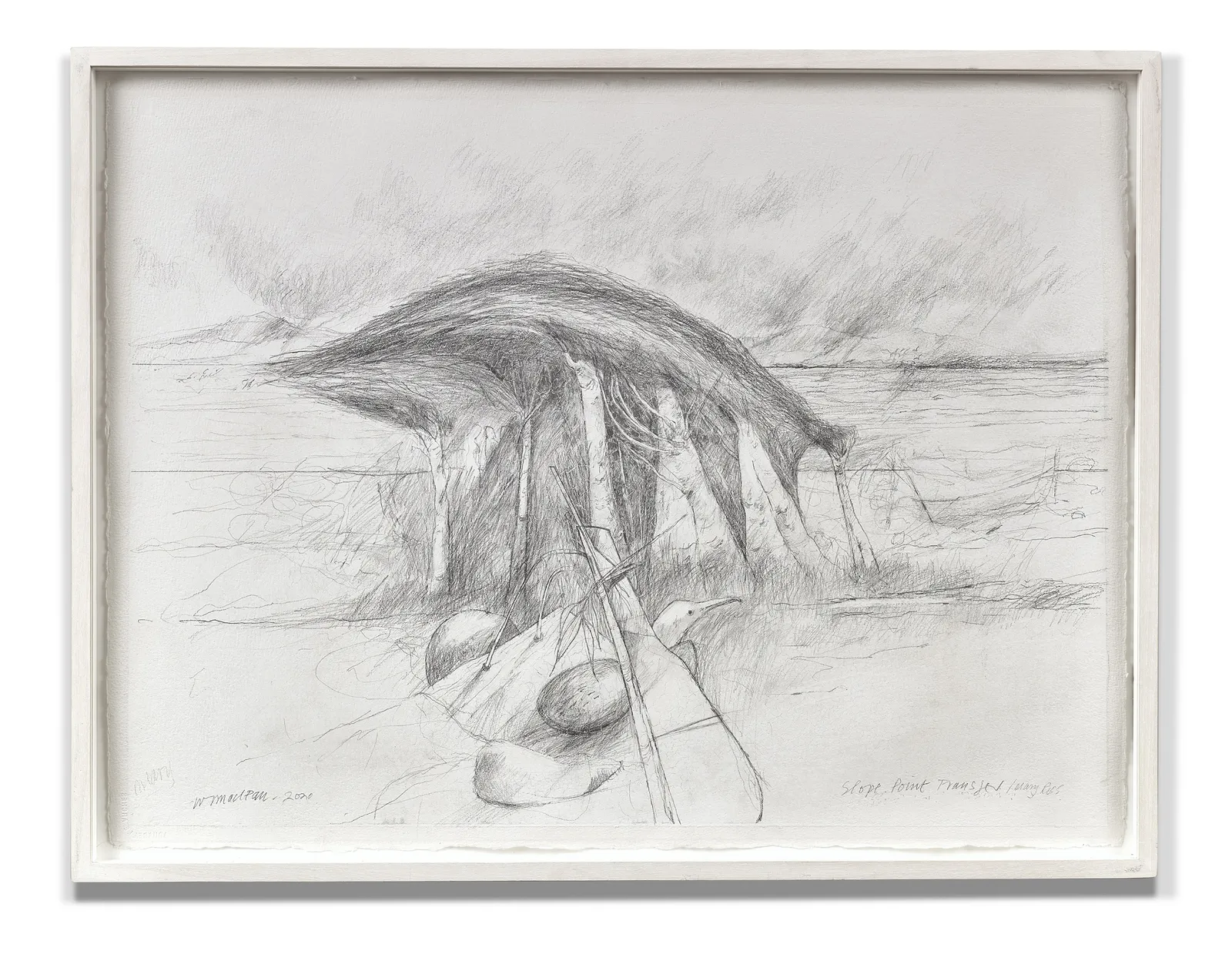 Will Maclean RSA, Slope Point Transfer / Mary Ross, 2020