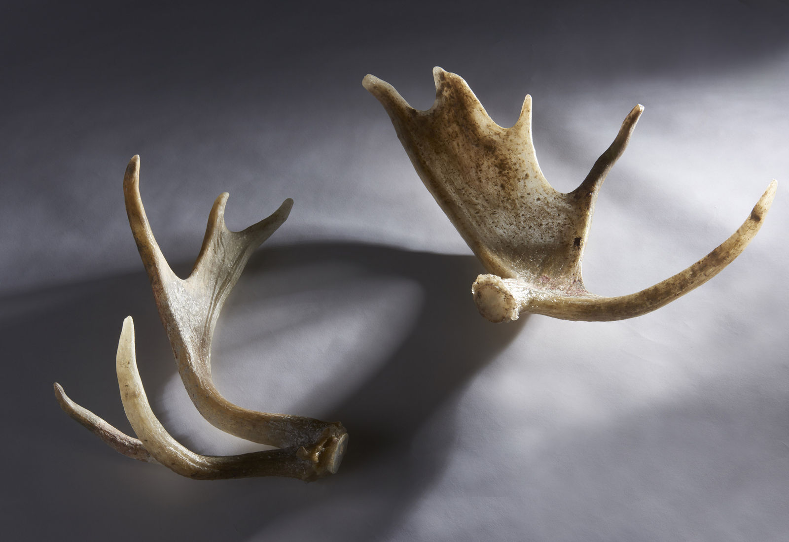 Shaun Fraser, Ach An Cuan: The Atlantic Series (Part 1), 2014