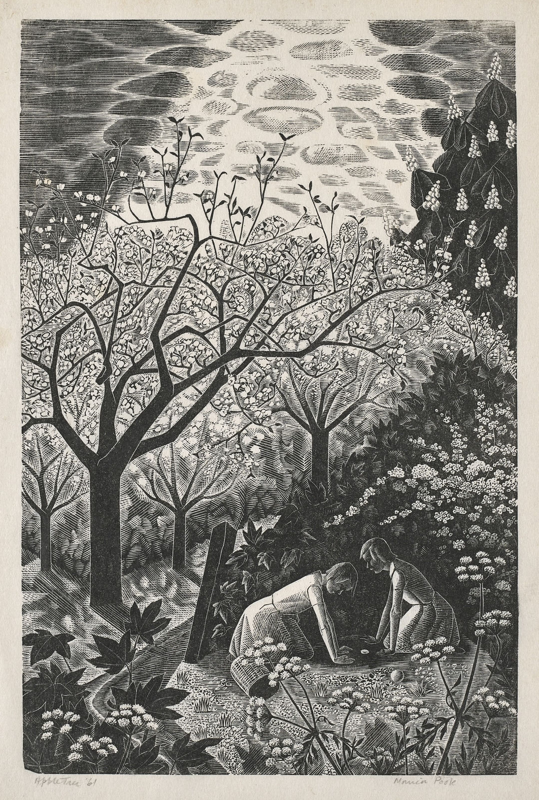 Monica Poole, Apple Tree, 1961