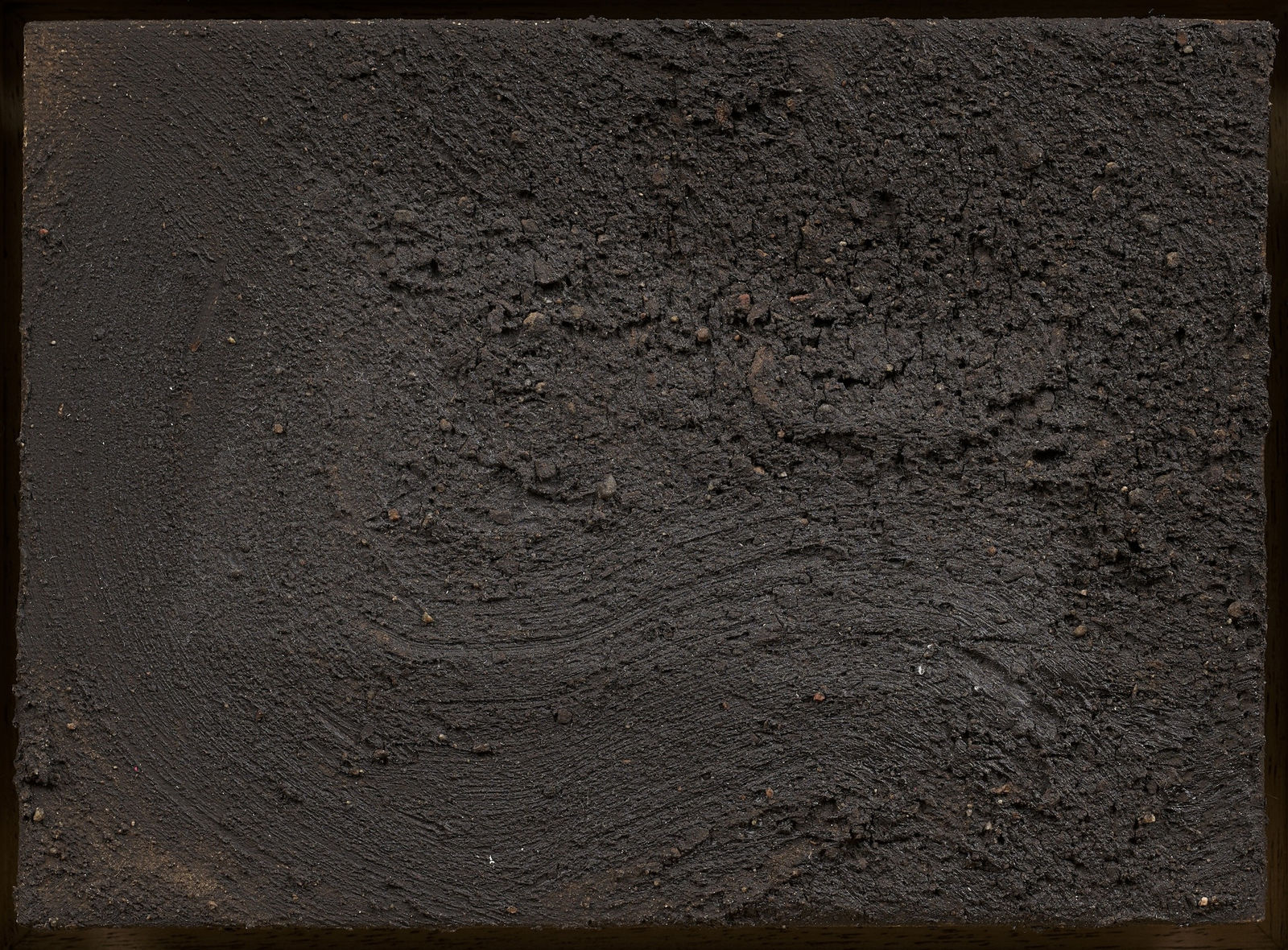 Shaun Fraser, Homesick, 2021