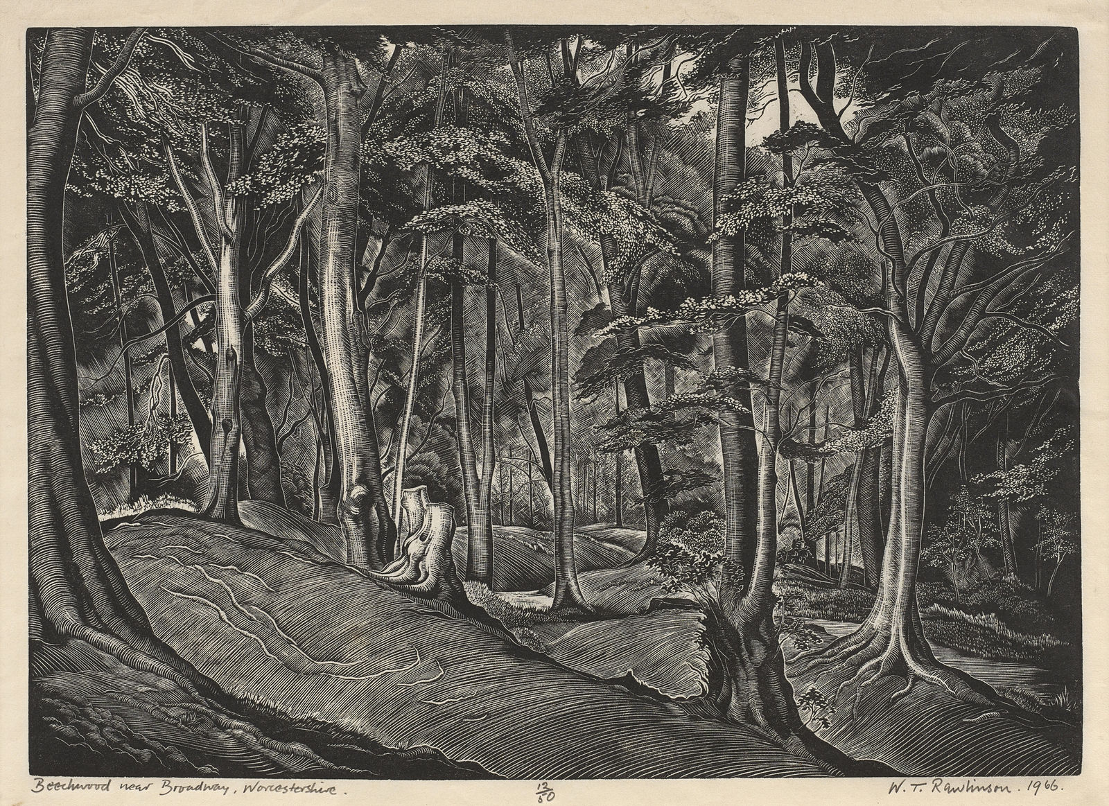 William Thomas Rawlinson, Beechwood Near Broadway, Worcestershire, 1966