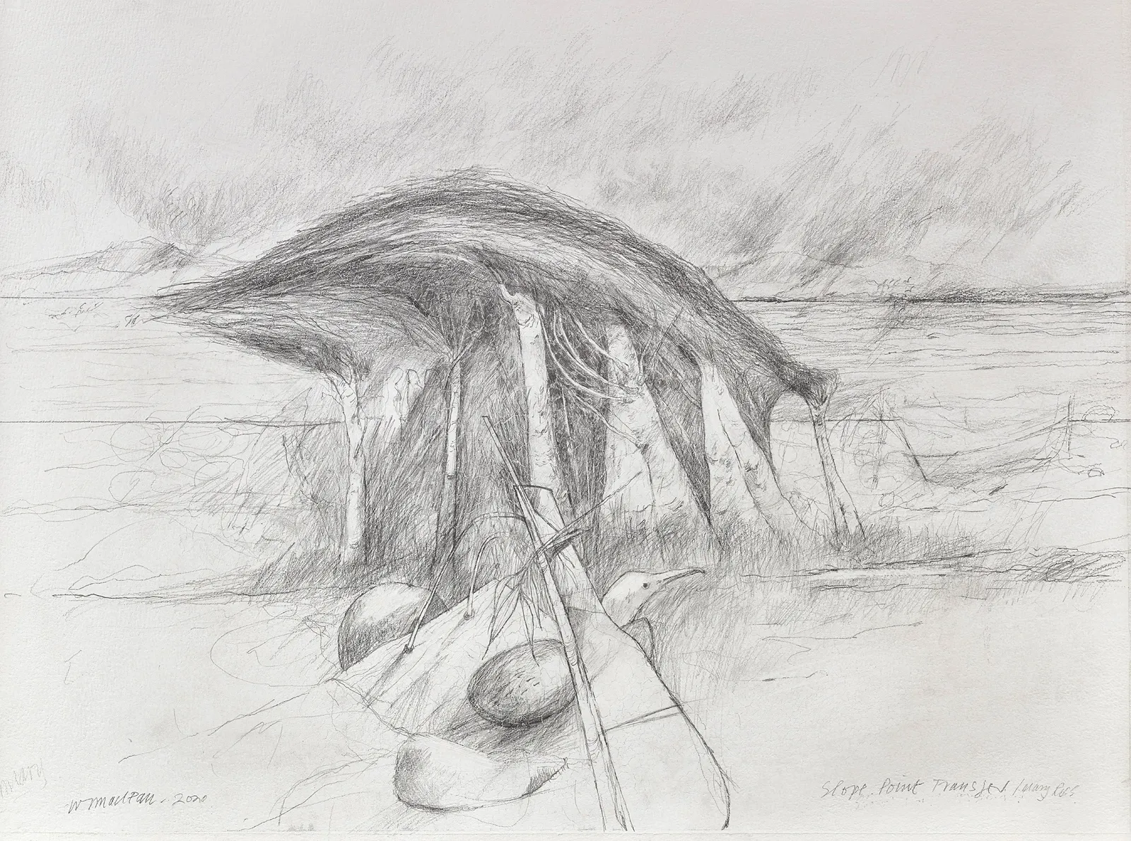 Will Maclean RSA, Slope Point Transfer / Mary Ross, 2020