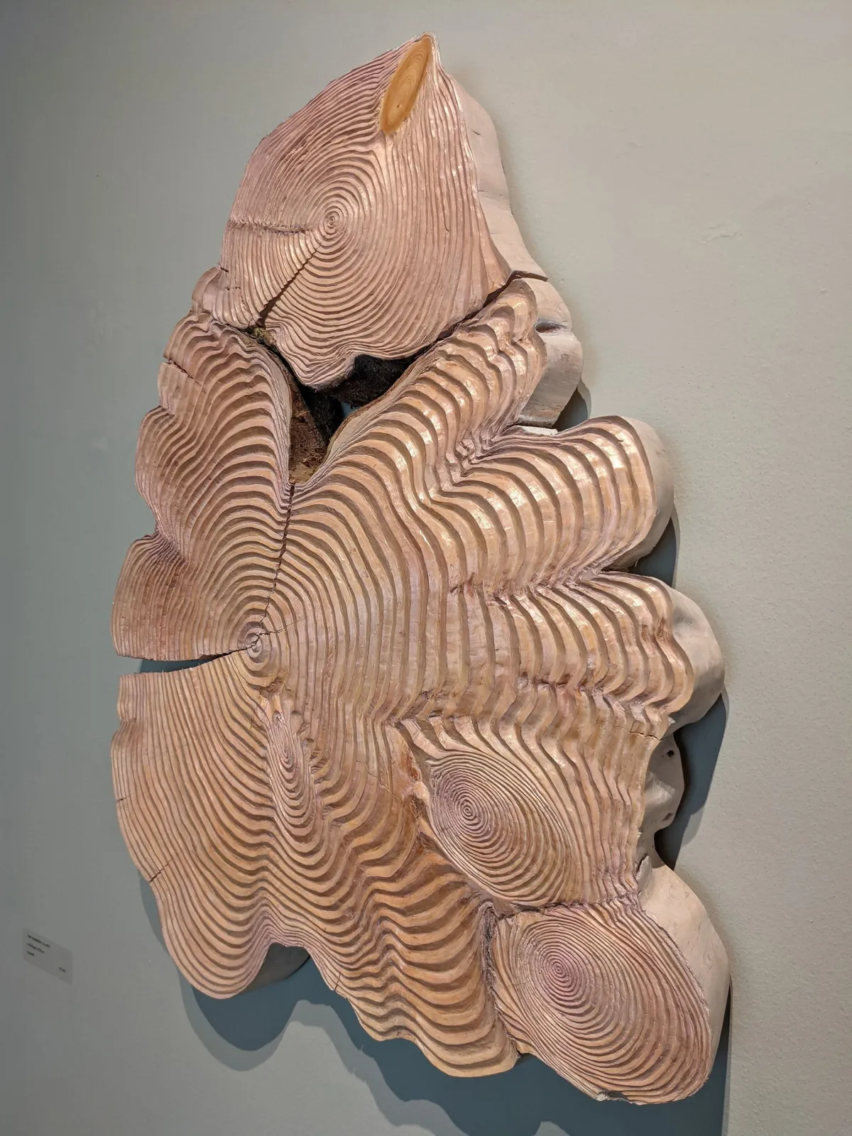 Tim Pomeroy, A Dialogue of Rings, 2021