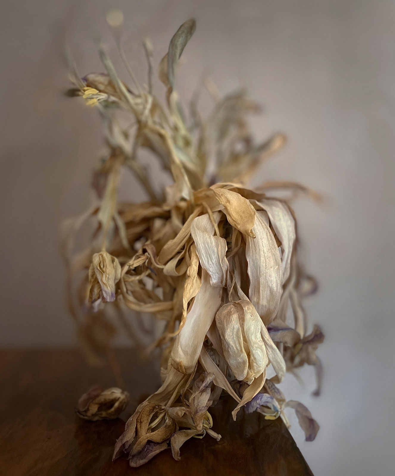 David Eustace, Volume 1 Image No1, 2020-2022