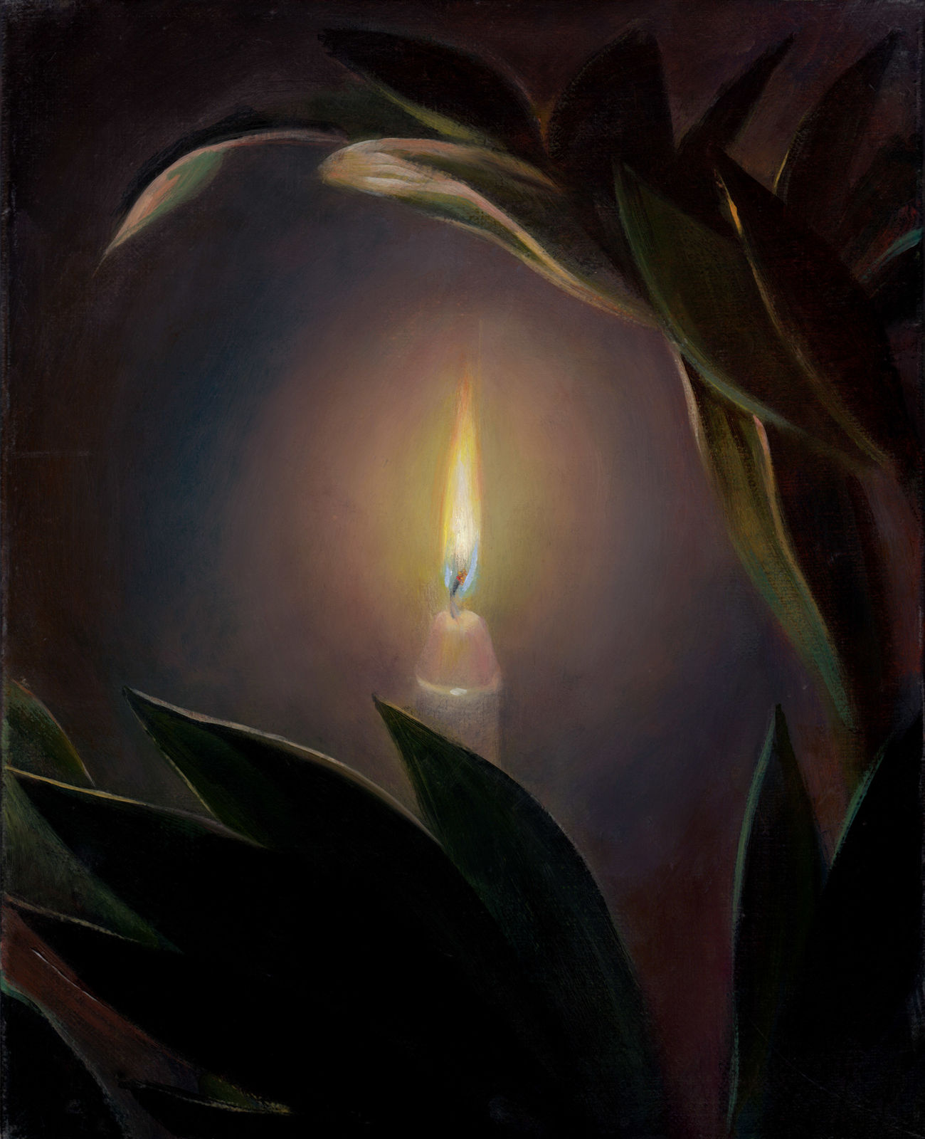 TM Davy, Candela (Plants Hand), 2013