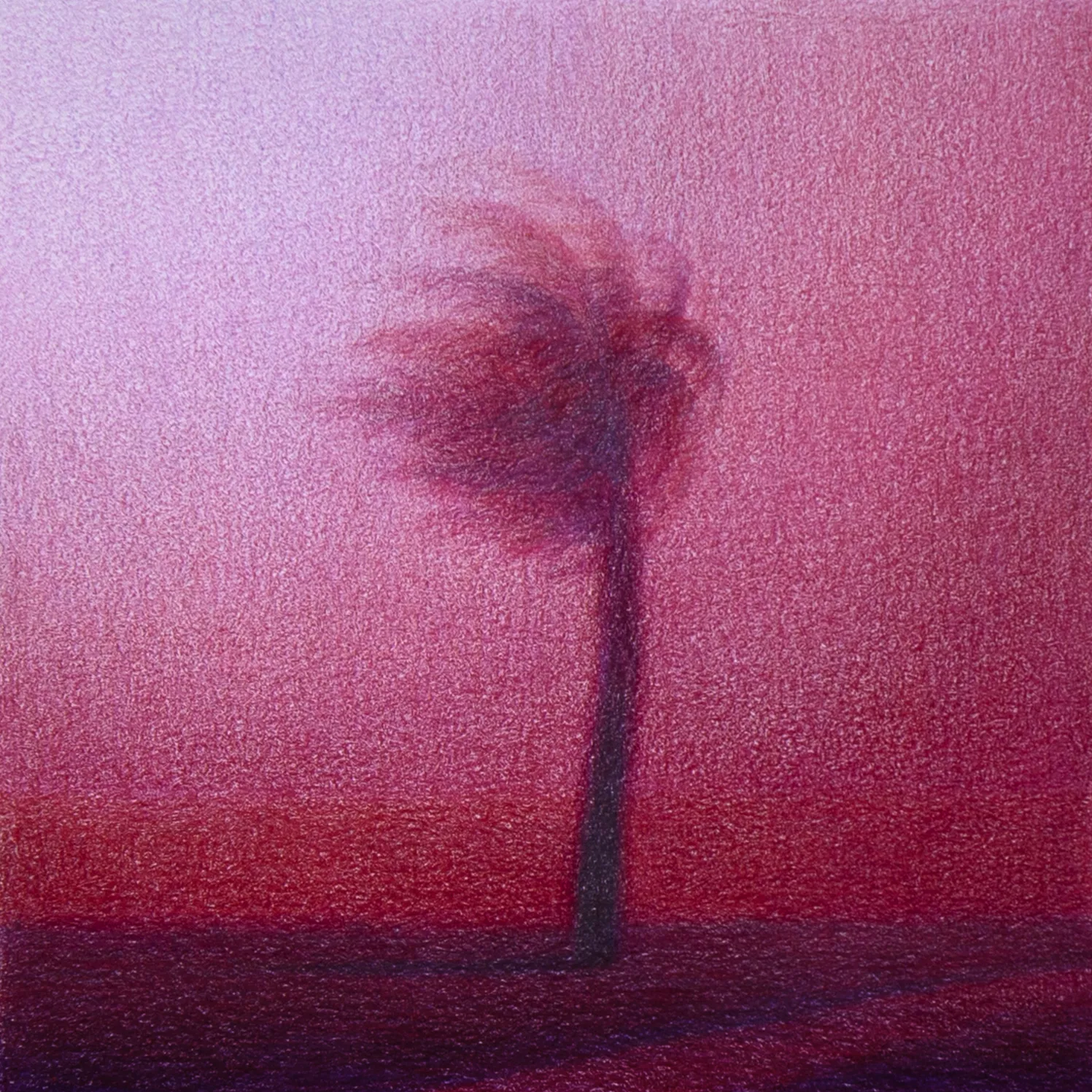 Steffen Kern, Red Palm, 2025