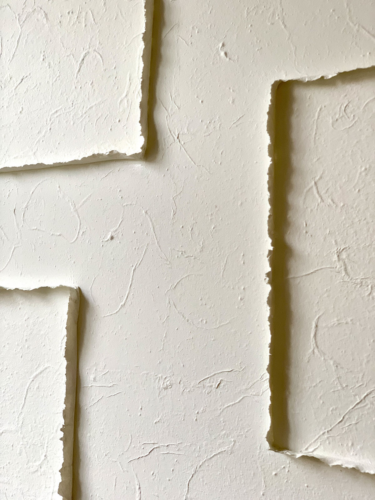 Sophie De Zutter, Complémentarité, 2026