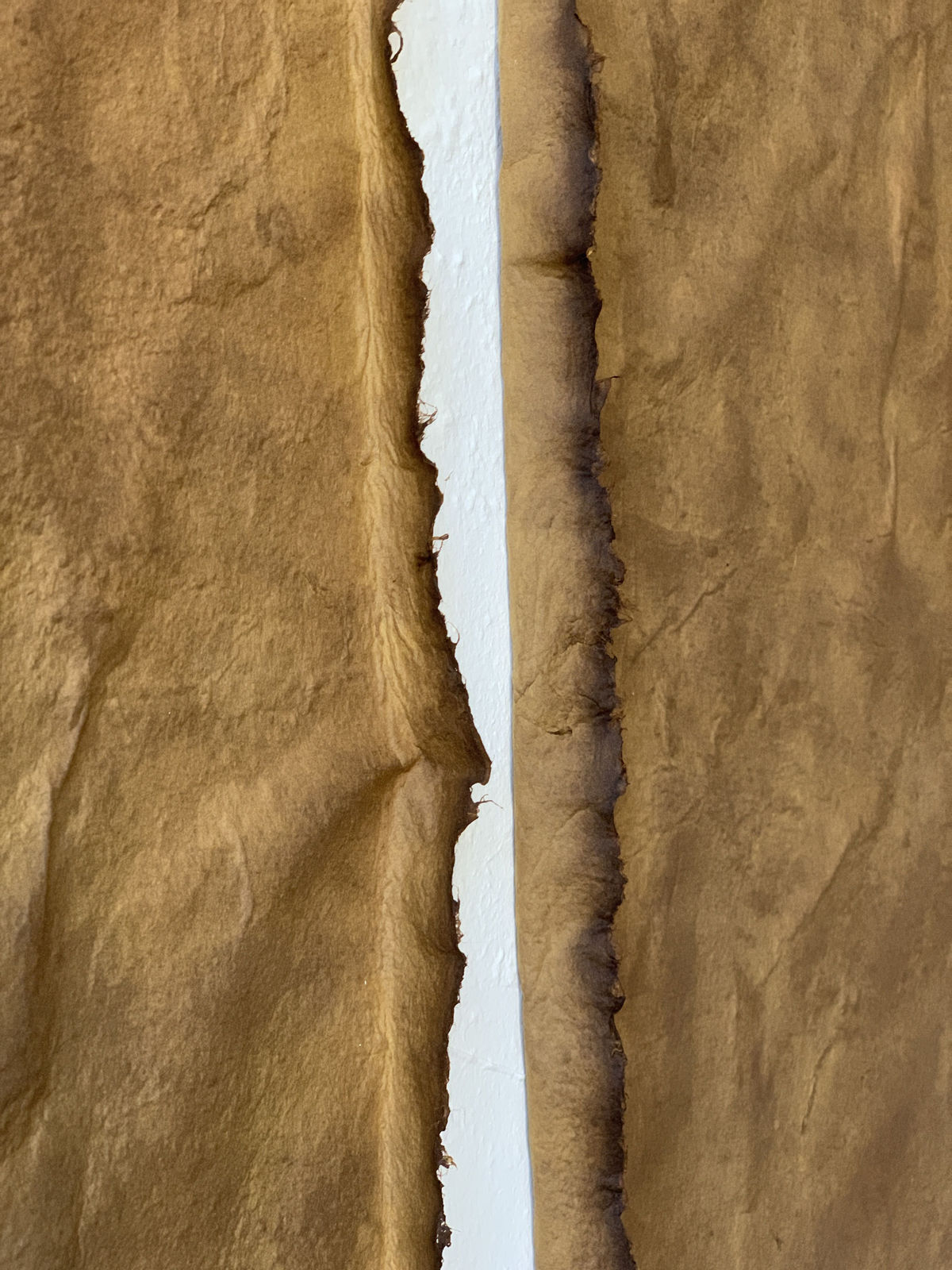 Sophie De Zutter, Echo de lumière, 2026