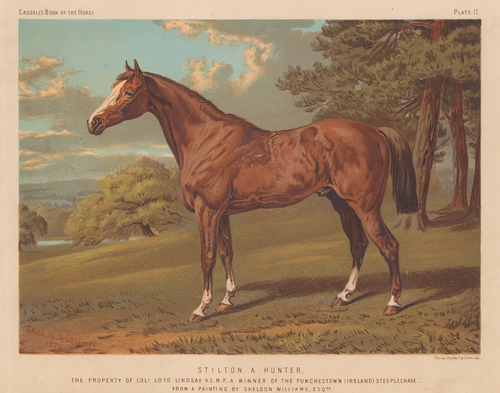 Cassell, Petter & Galpin, Hunting - Hunter, 1877 c.