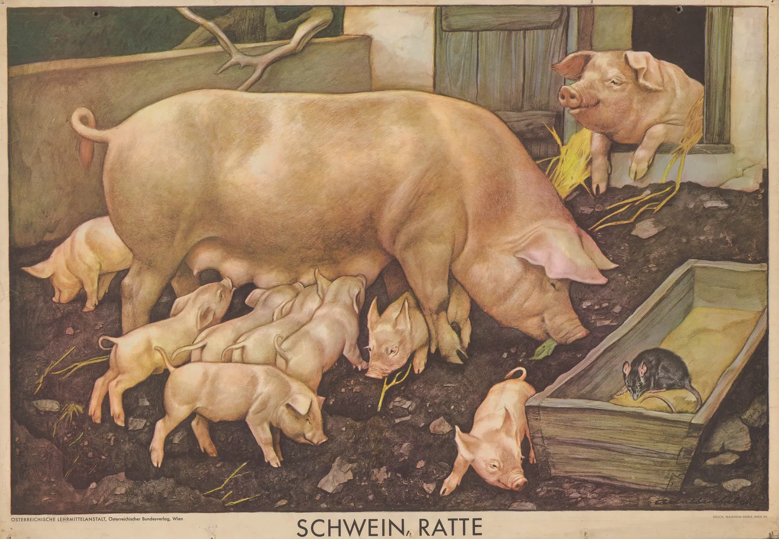 Waldheim & Eberle, Pig, Piglets and Rat, 1955 c.