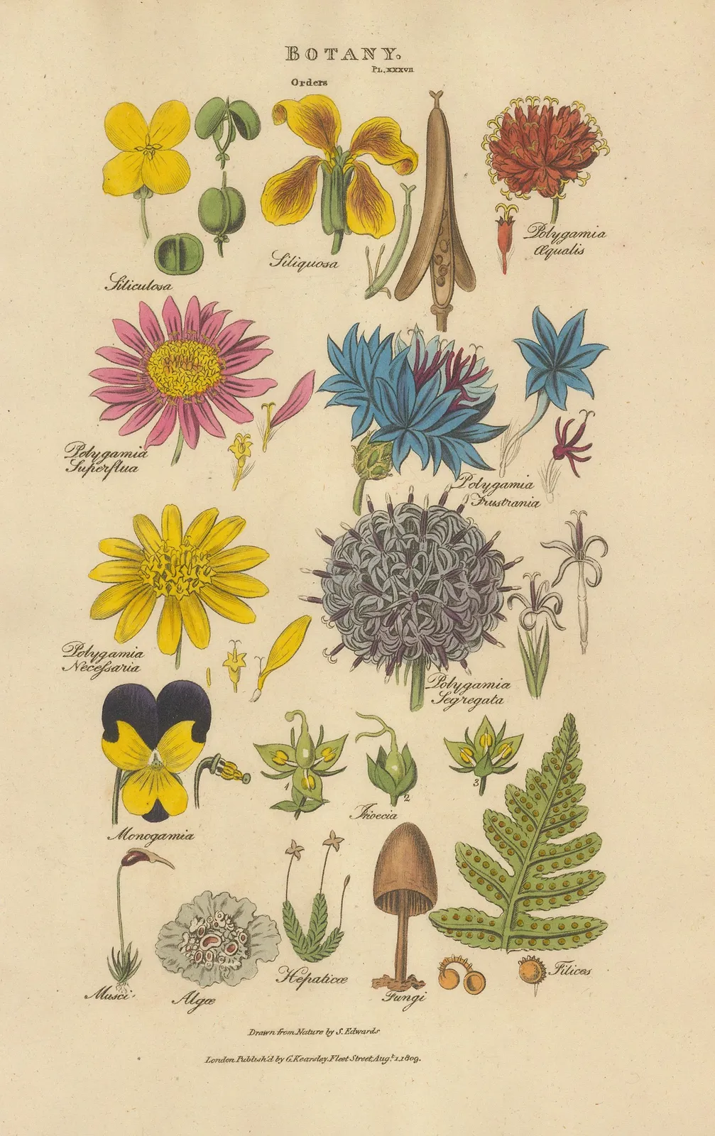 John Good, Botany, 1813