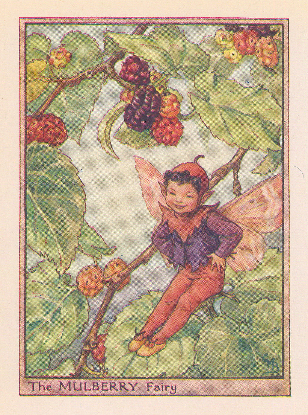 Cicely Mary Barker, Fairies - Mulberry Fairy, 1940