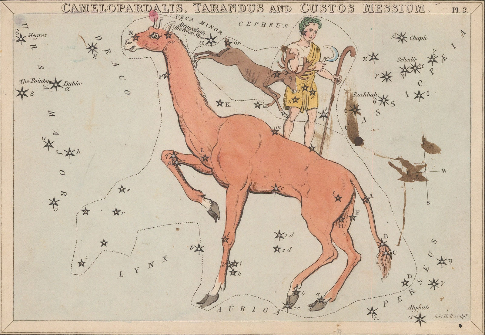 Samuel Leigh, Camelopardalis, Tarandus and Custos Messium., 1824 c.
