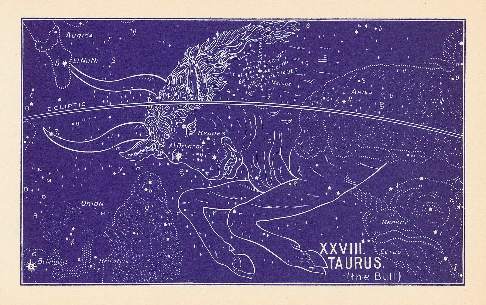 Ethelbert William Bullinger, XXVIII. Taurus (the Bull), 1895