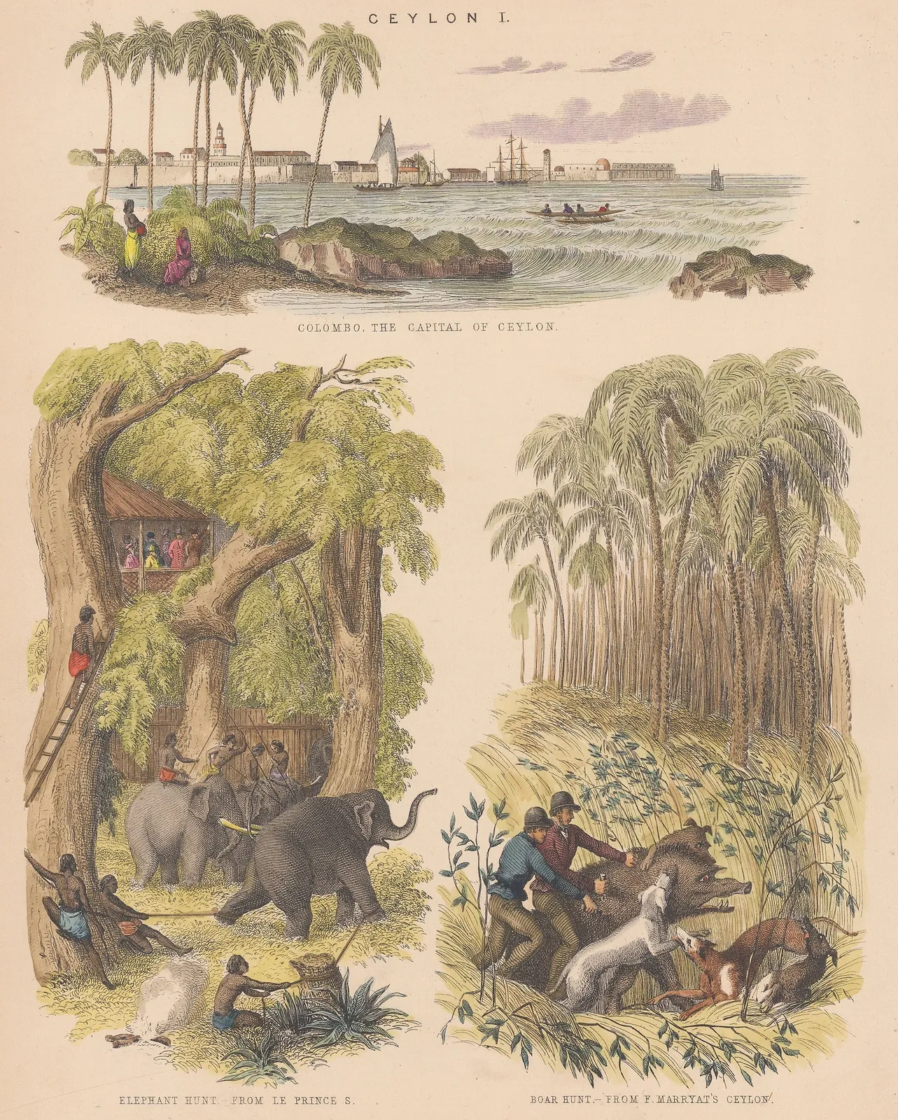 Archibald Fullarton, Sri Lanka - Colombo, 1860 c.