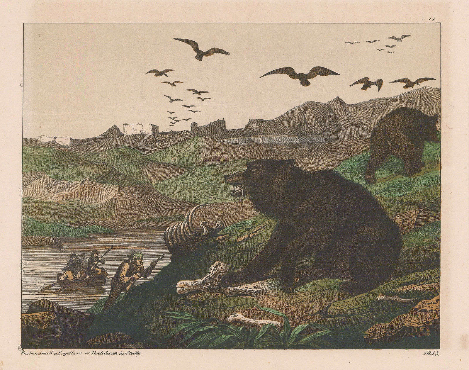 Carl Hoffmann, Bear, 1845