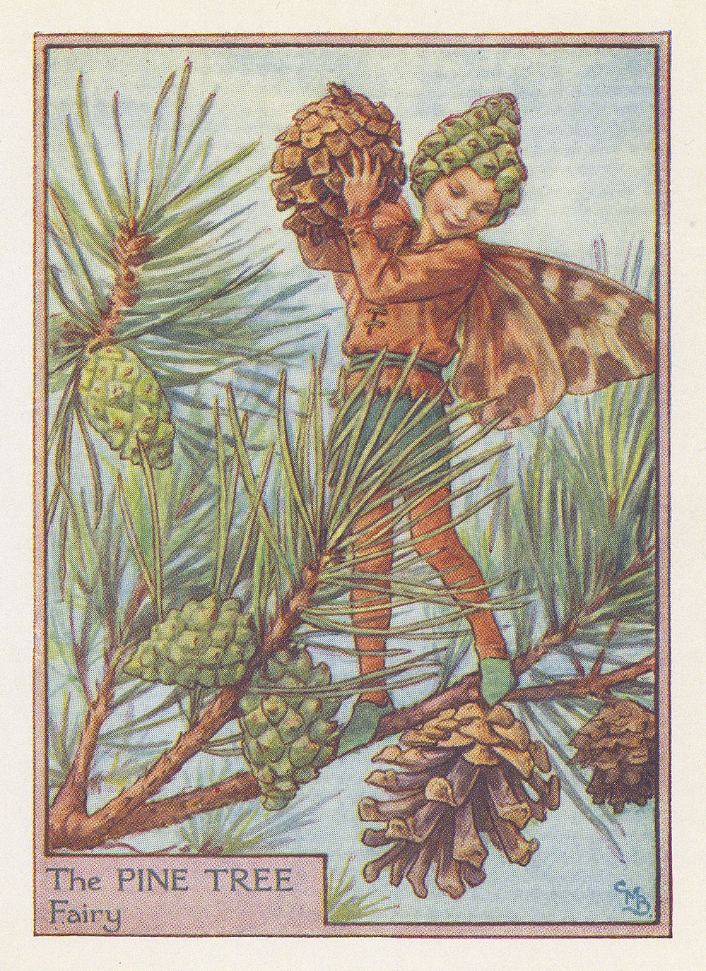Cicely Mary Barker, Fairies - Pine Tree Fairy, 1940