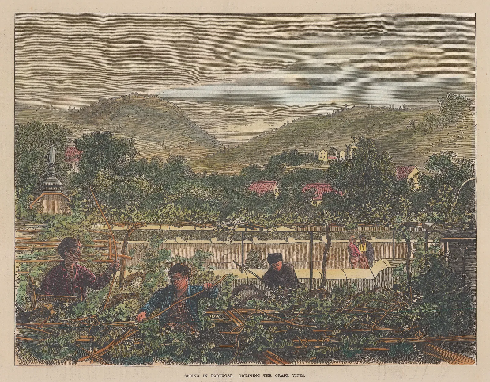 Illustrated London News (ILN), Portugal - Wine, 1873