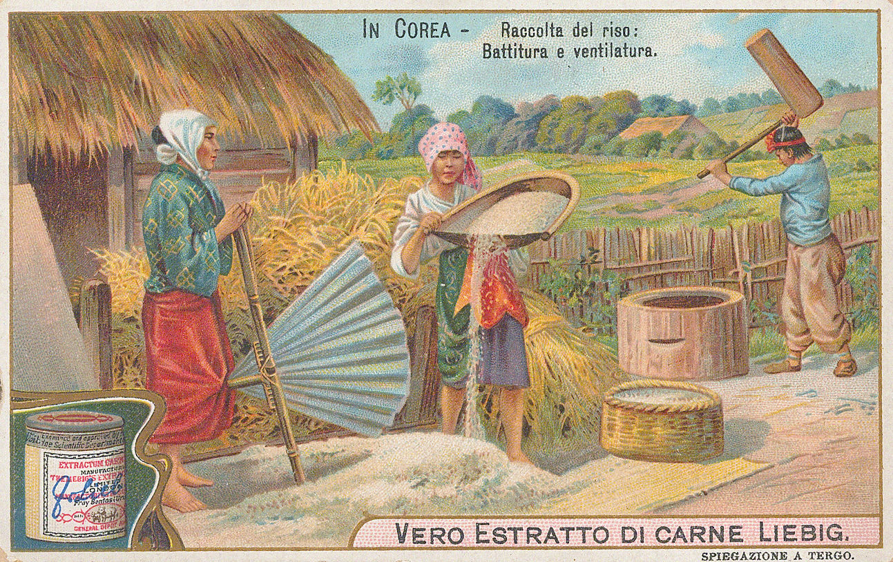 Liebig's Extract, Korea - Rice production, 1904