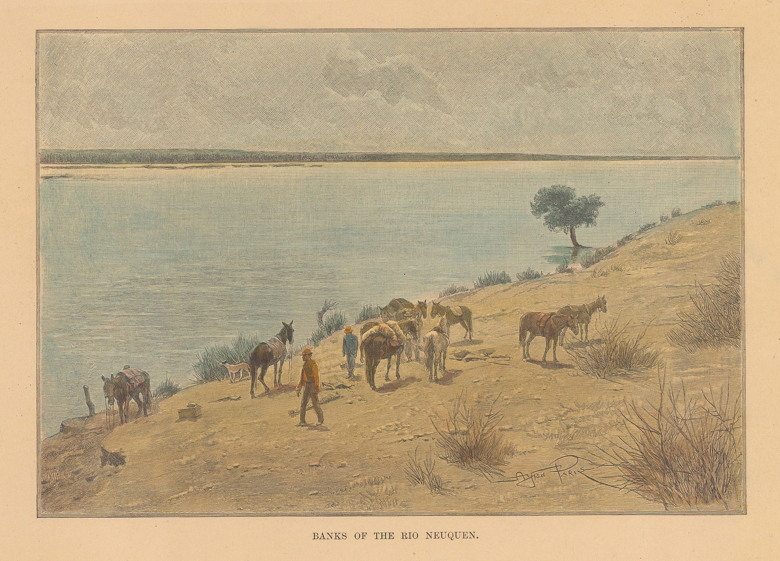 Jean Jacques Élisée Reclus, Argentina - Río Neuquén, 1894