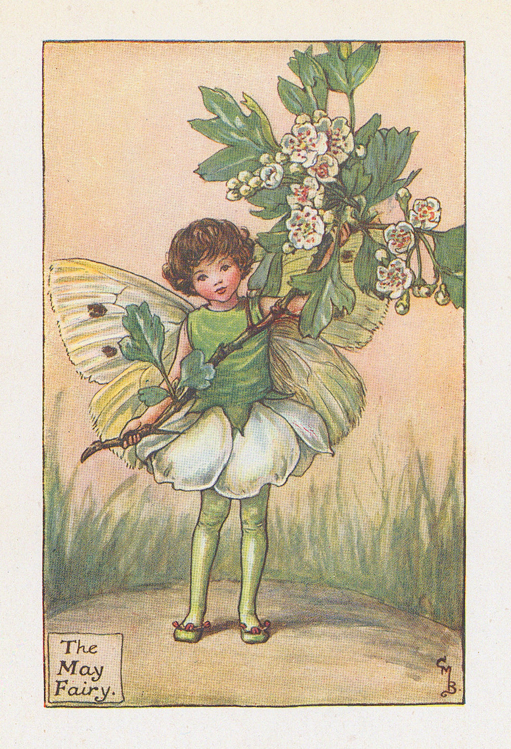 Cicely Mary Barker, Fairies - May Fairy, 1923