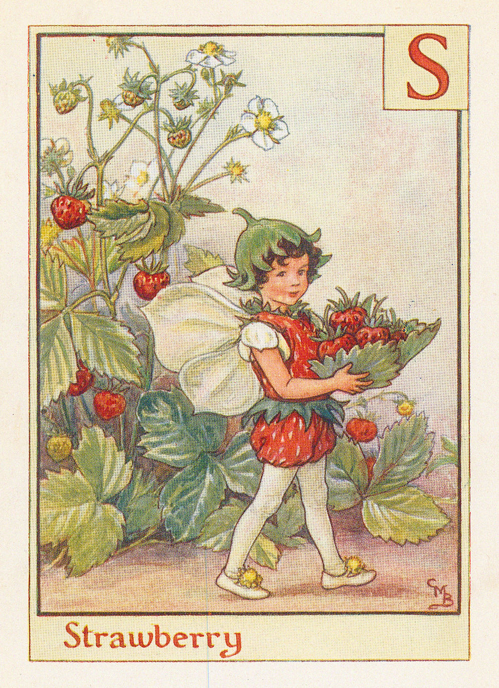 Cicely Mary Barker, Fairies - Strawberry Fairy, 1934