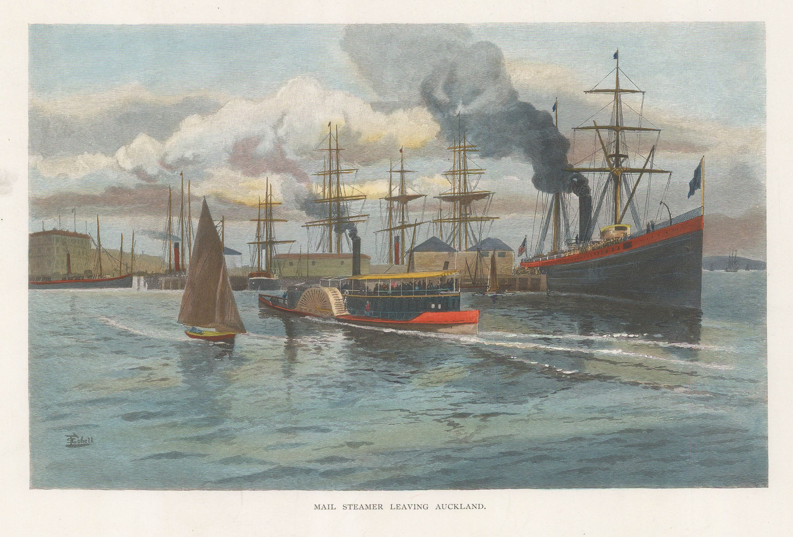 Picturesque Australia, New Zealand - Auckland, Waitemata Harbour, 1888 c.