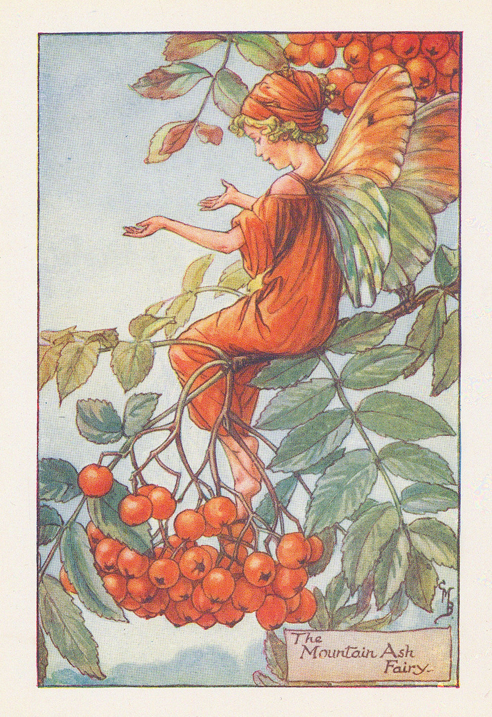 Cicely Mary Barker, Fairies - Mountain Ash fairy, 1926