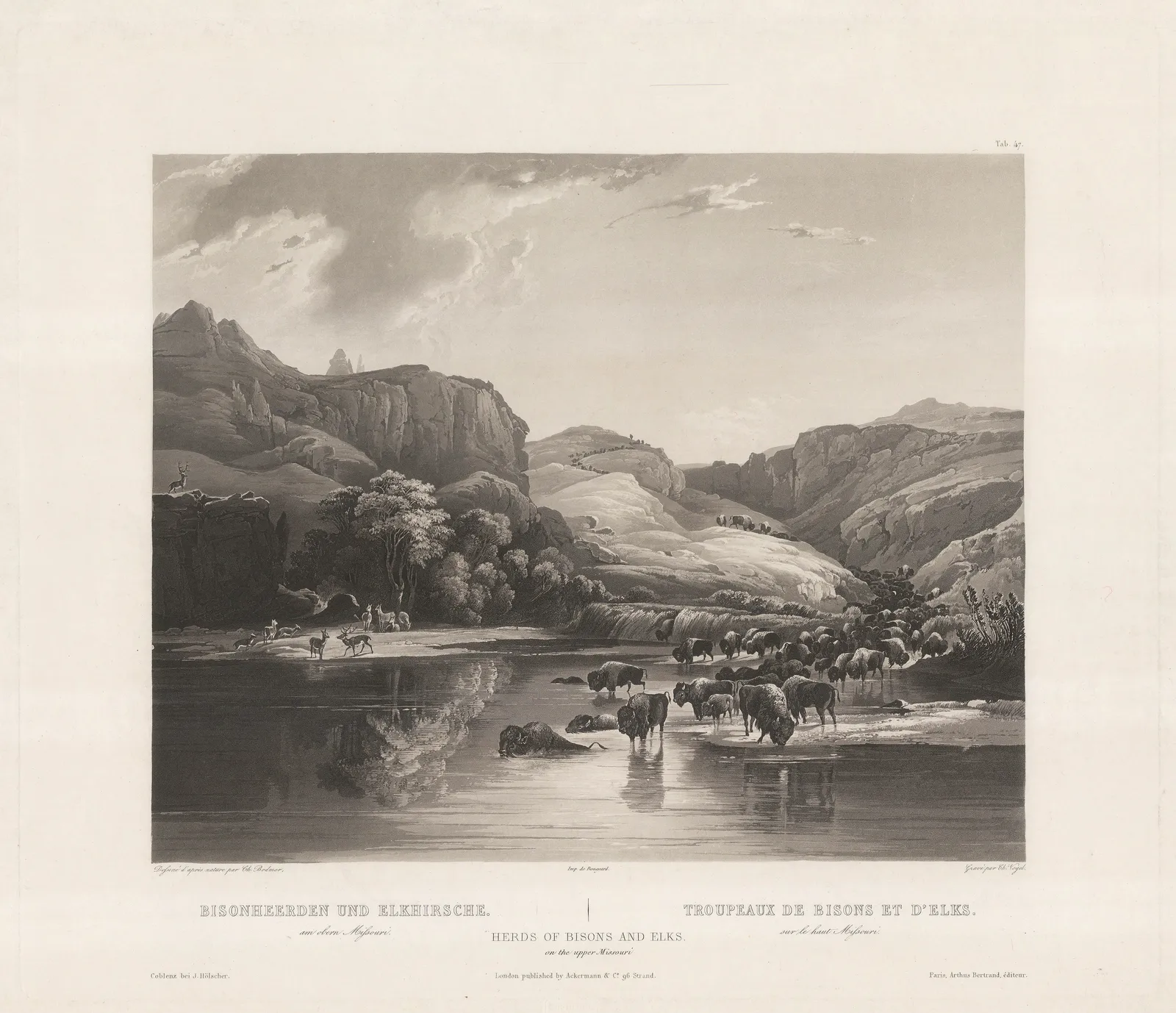 Karl Bodmer, Native Americans - Herds of Bison and Elk, 1842 c.