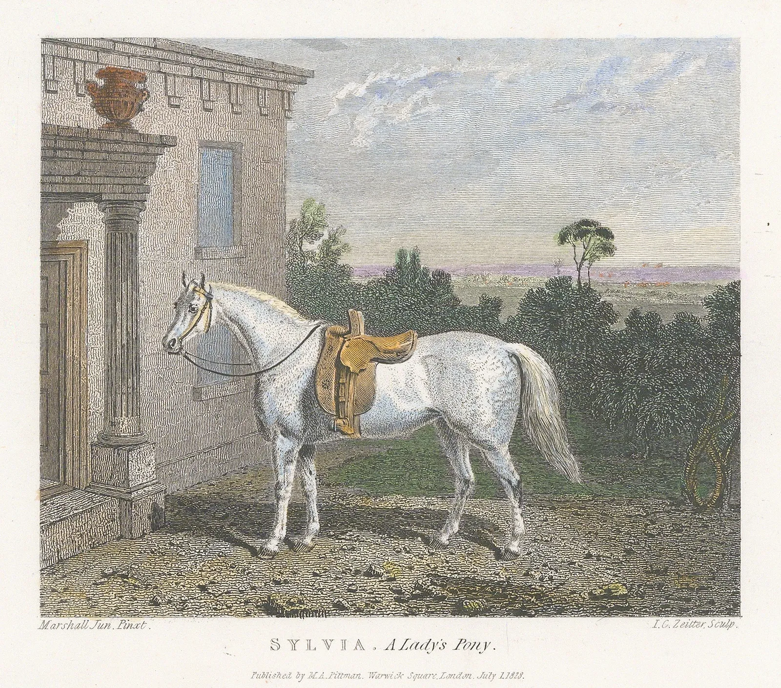M. A. Pittman, Horses - Sylvia, 1828