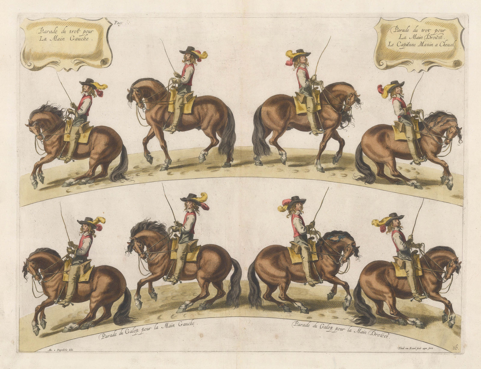 William Cavendish (Duke of Newcastle), Horses - Dressage, 1743