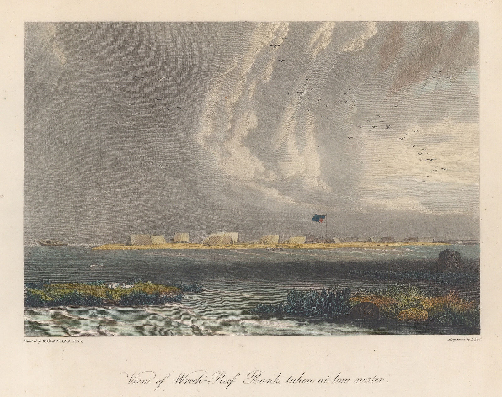 Matthew Flinders, Australia - Wreck Reef Island, 1814