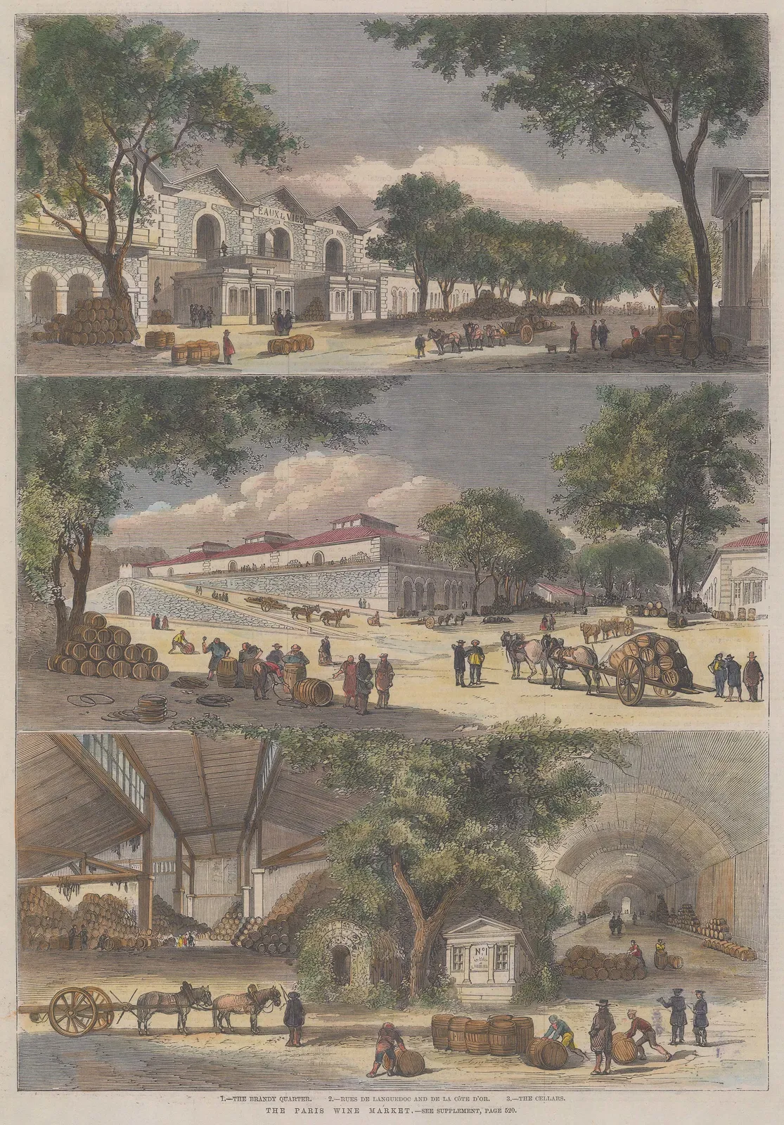 Illustrated London News (ILN), France - Paris, Wine Market, 1860