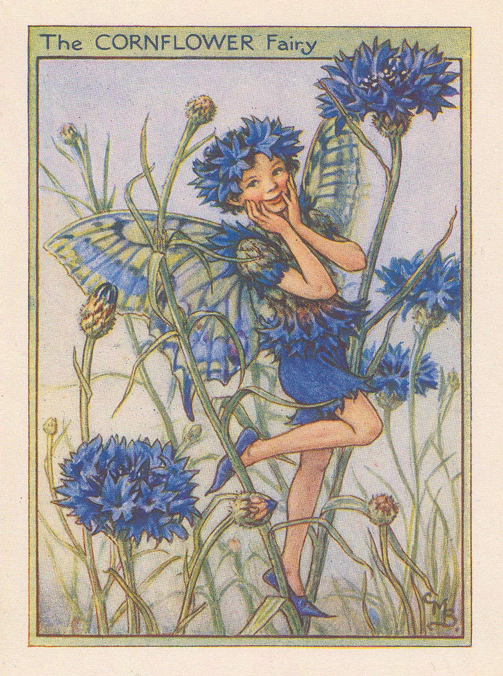 Cicely Mary Barker, Fairies - Cornflower Fairy, 1944