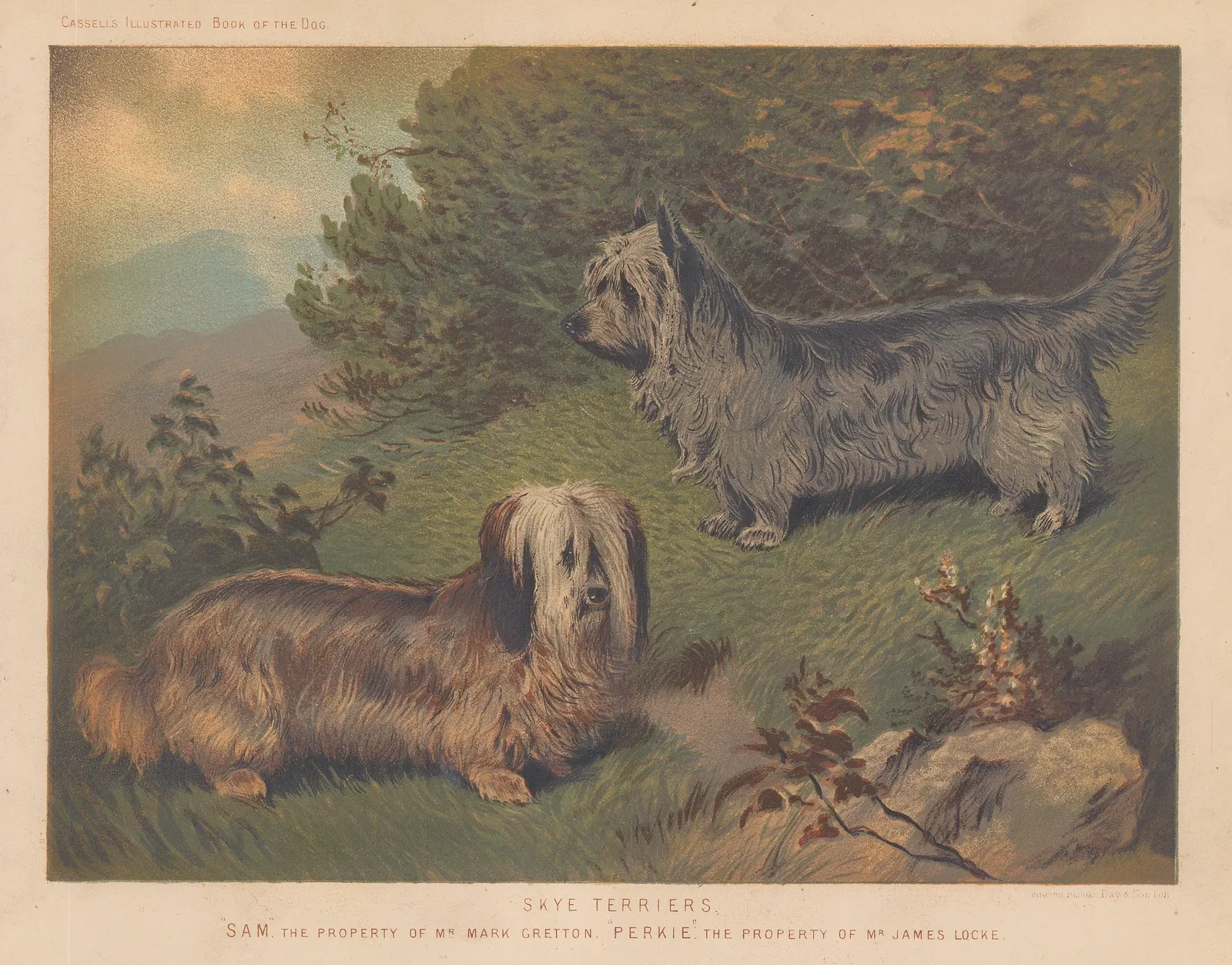 Cassell & Co., Dog - Skye Terriers, 1890 c.