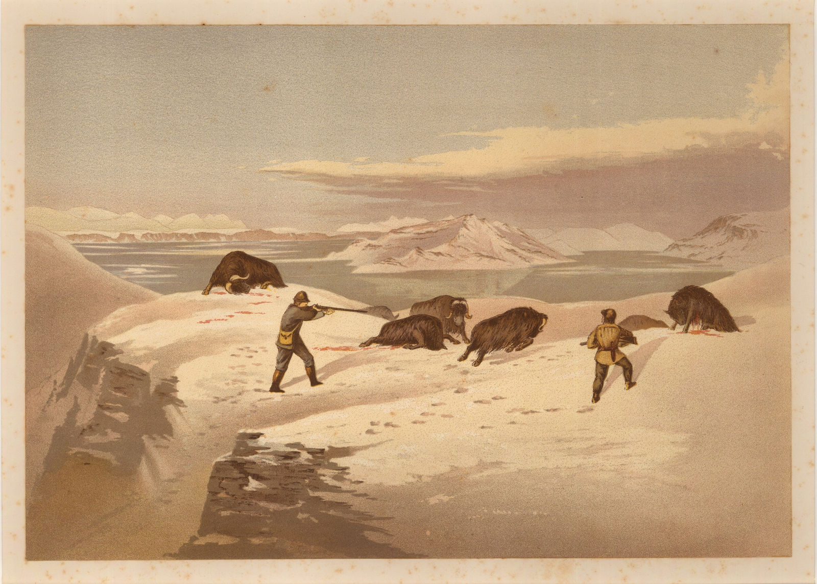 Edward Moss, Arctic - Expedition of H.M.S. Alert, 1880 c.
