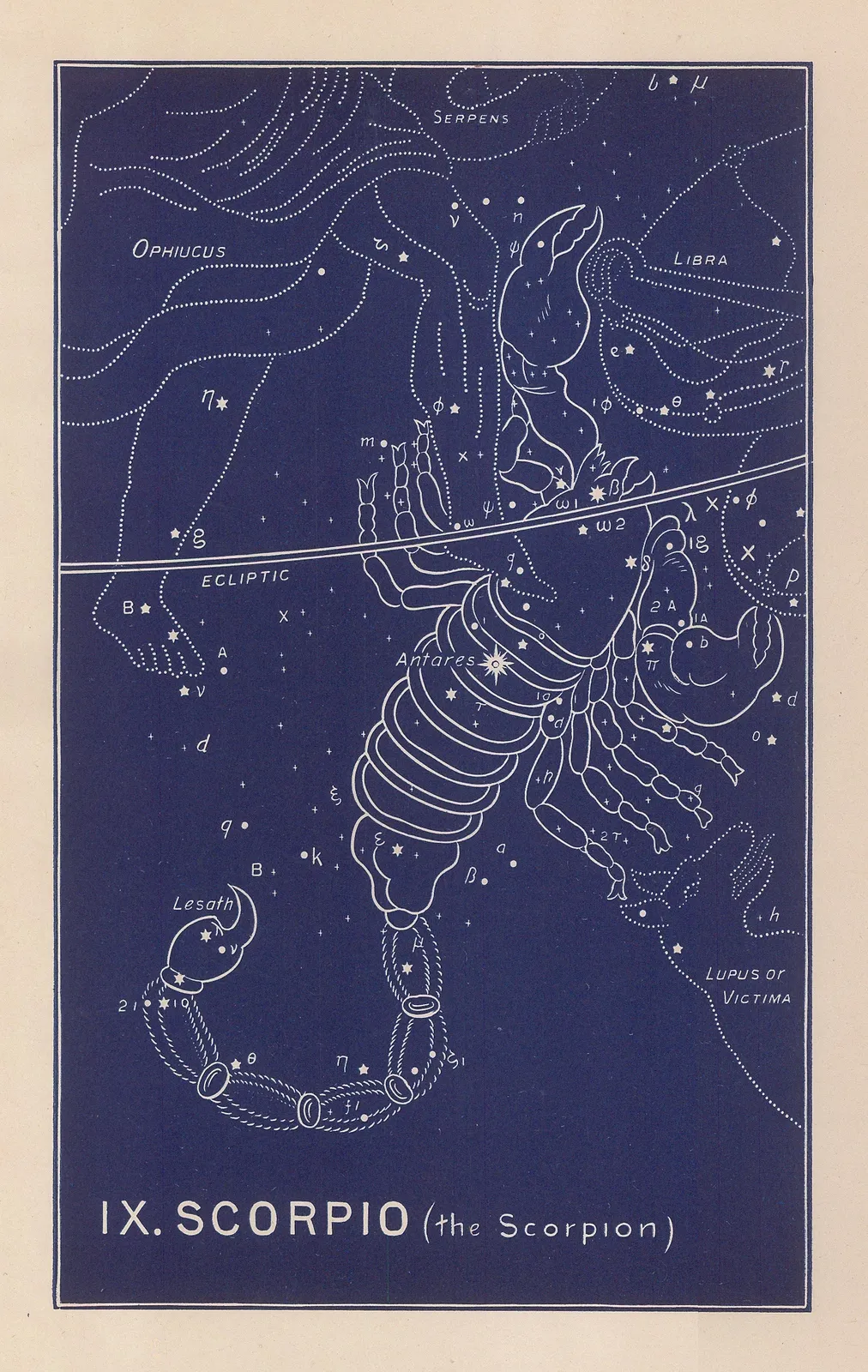 Ethelbert William Bullinger, IX. Scorpio (The Scorpion), 1895